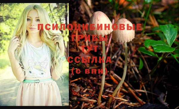 сатива Верхнеуральск